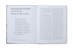 The Image of Whiteness - Daniel C. Blight – Image 4