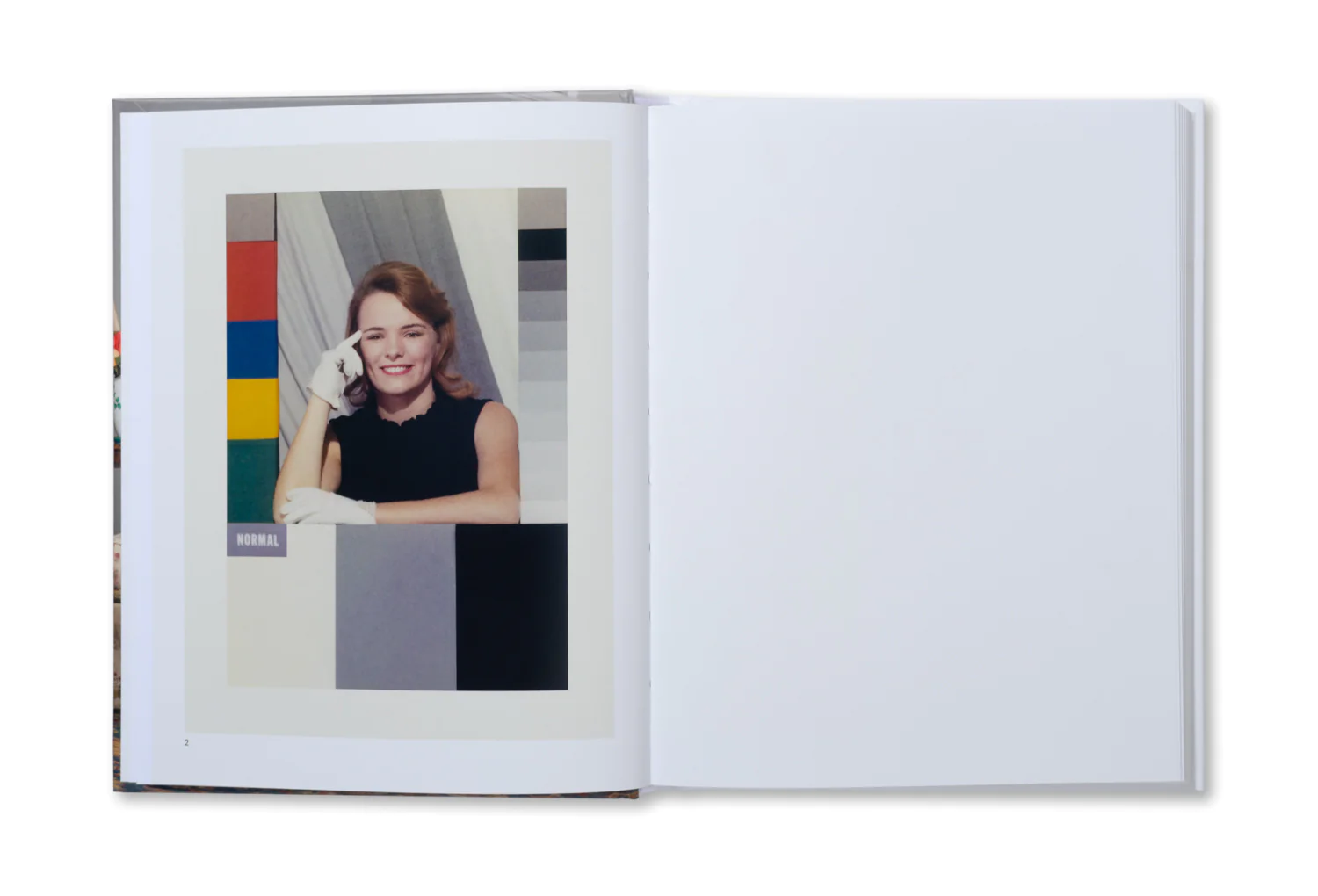 The Image of Whiteness - Daniel C. Blight – Image 15