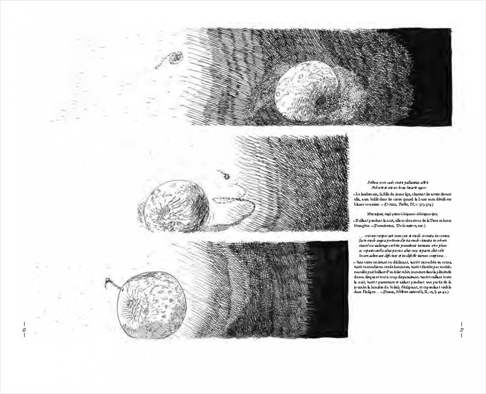 Les Cosmogoniales - Hyacinthus – Image 4