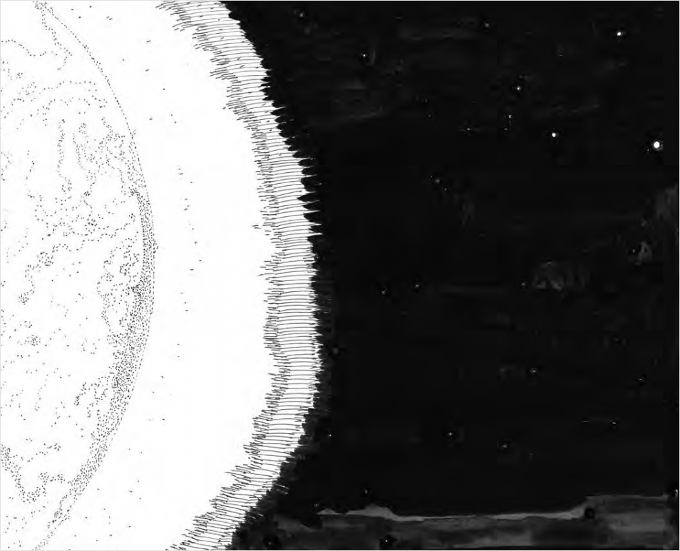 Les Cosmogoniales - Hyacinthus – Image 6