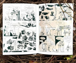 Saint Ferreol - Trente plats - Jérémy Piningre & Aëla Mäi Cabel – Image 3