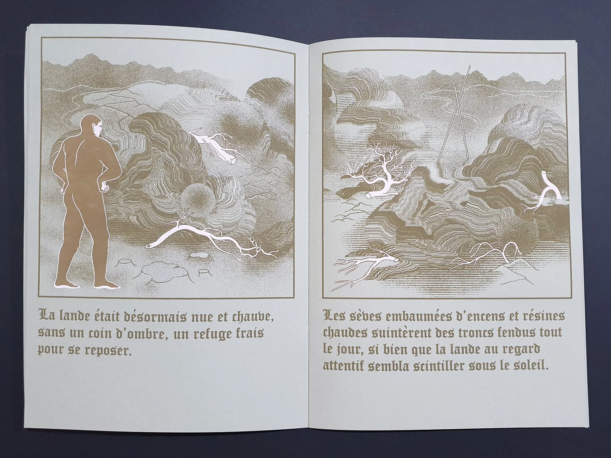 Le prince et la lande - Erwan Rouselle – Image 5
