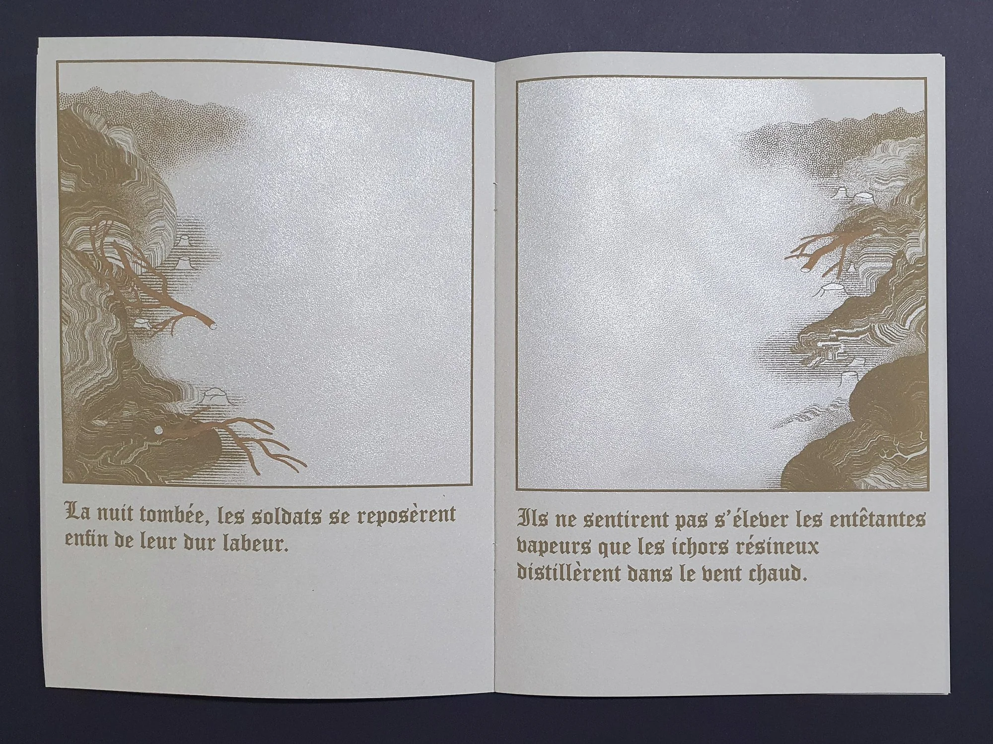 Le prince et la lande - Erwan Rouselle – Image 4