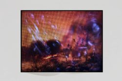 Surface Tension - Tabitha Soren – Image 5