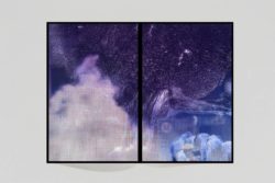 Surface Tension - Tabitha Soren – Image 4
