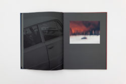 Better in the Dark Than His Rider - Francesco Merlini – Image 11