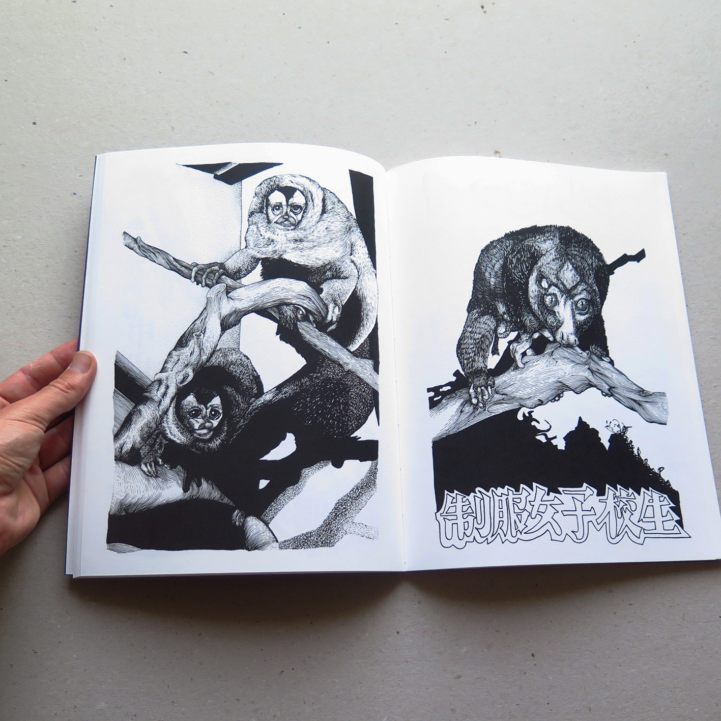 Ténèbres - Guillaume Soulatges – Image 3