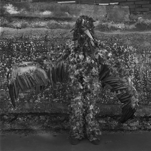 Tierra Mágica - Yannick Cormier, Candice Moise – Image 3