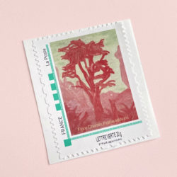 Micro-Climat - Flore Chemin – Image 4