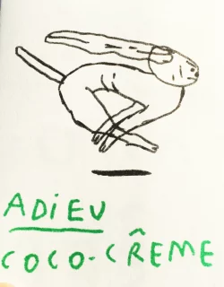 Adieu Coco-Crême - Julie Marchal
