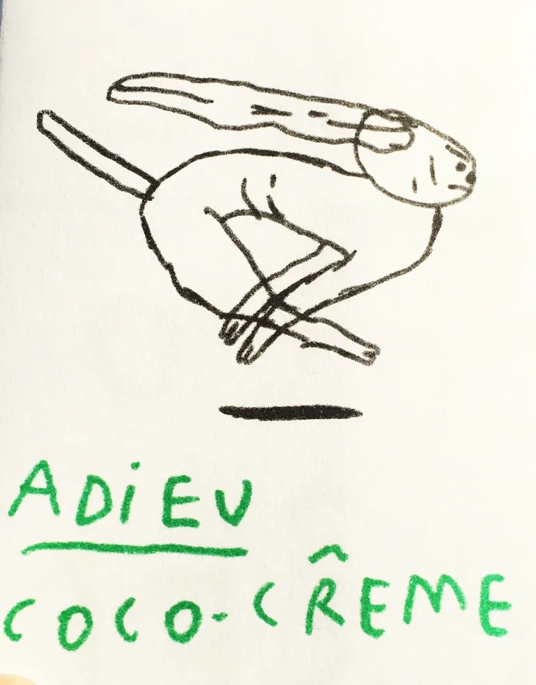 Adieu Coco-Crême - Julie Marchal