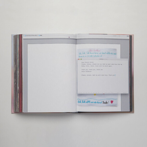 Each poison, a pillow - Stefanie Moshammer – Image 2