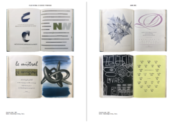 Composite n° 04 – Image 2