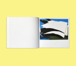 Zencho - Alex Besikian – Image 2
