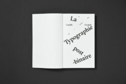 La Typographie post-binaire au delà de l'écriture inclusive - Camille Circlude – Image 2