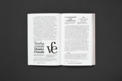 La Typographie post-binaire au delà de l'écriture inclusive - Camille Circlude – Image 8