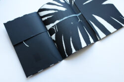Aux marasmes révoltés - Atelier Maclane – Image 12