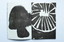 Aux marasmes révoltés - Atelier Maclane – Image 3