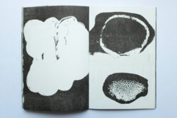 Aux marasmes révoltés - Atelier Maclane – Image 6