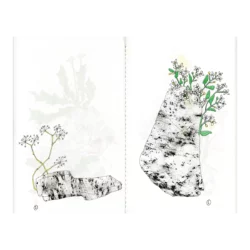 Pierre et Fleur - Mélanie Corre – Image 5