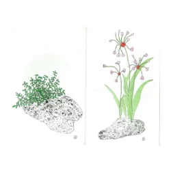 Pierre et Fleur - Mélanie Corre – Image 2