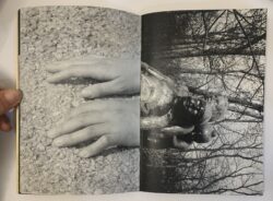 Erlebnispark - Paul & Carla – Image 4