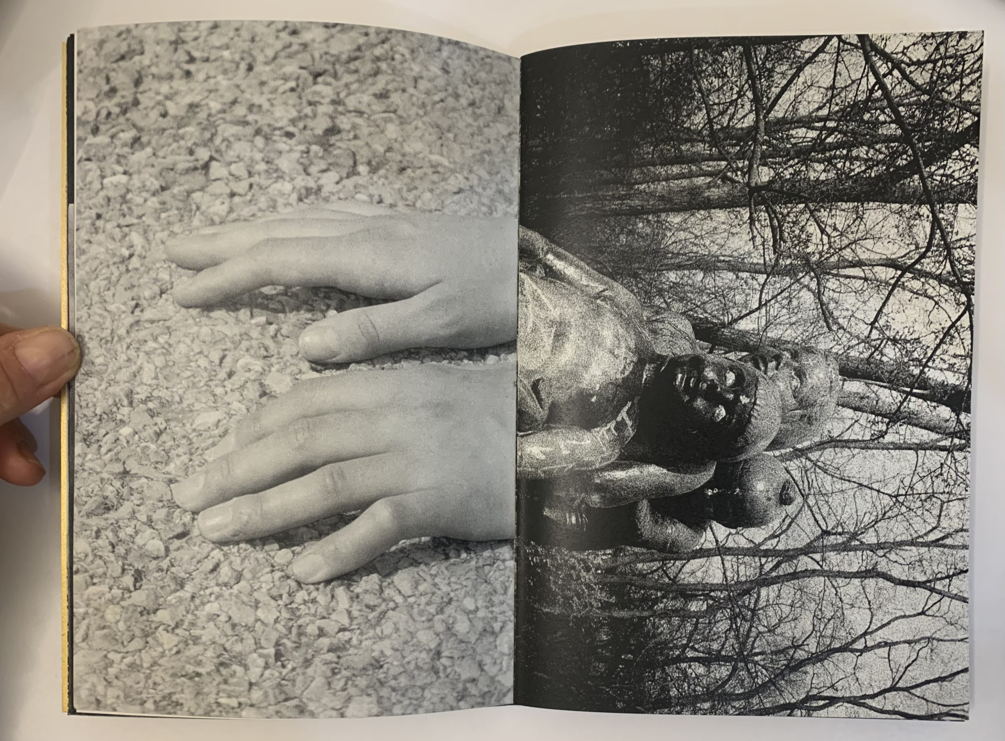 Erlebnispark - Paul & Carla – Image 4