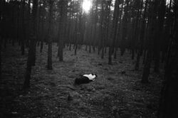 Erlebnispark - Paul & Carla – Image 6