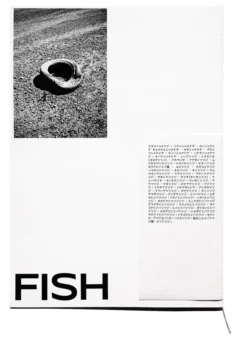 Dirty fish - Léa Abaroa – Image 3