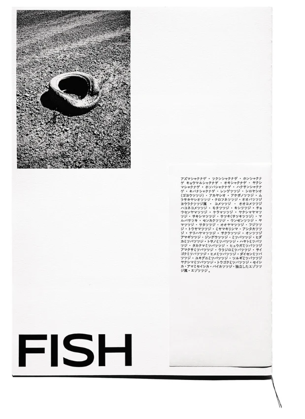 Dirty fish - Léa Abaroa – Image 3