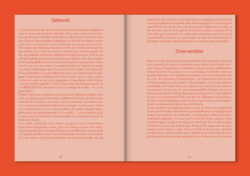 How to Become Irrésistibles - sabrina soyer (ed.) – Image 11