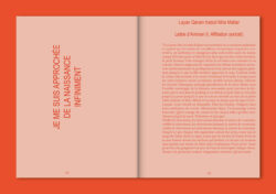 How to Become Irrésistibles - sabrina soyer (ed.) – Image 15