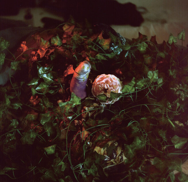 Erlebnispark - Paul & Carla – Image 8