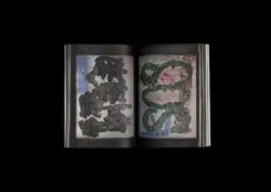 Nothing To See Here - Hans Leo Maes – Image 14