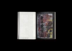 Nothing To See Here - Hans Leo Maes – Image 6