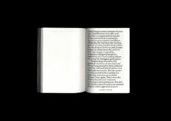 Nothing To See Here - Hans Leo Maes – Image 20