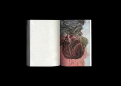 Nothing To See Here - Hans Leo Maes – Image 21