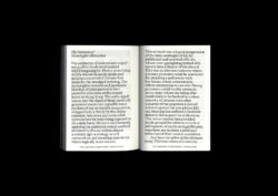 Nothing To See Here - Hans Leo Maes – Image 17