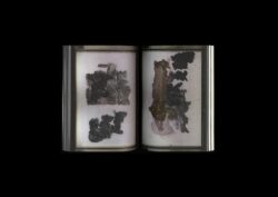 Nothing To See Here - Hans Leo Maes – Image 25