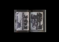 Nothing To See Here - Hans Leo Maes – Image 4
