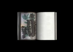 Nothing To See Here - Hans Leo Maes – Image 13