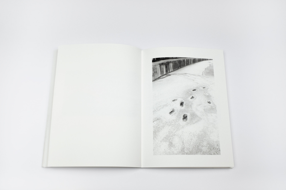 A R N O R D I R - FLorian Marciourt – Image 2