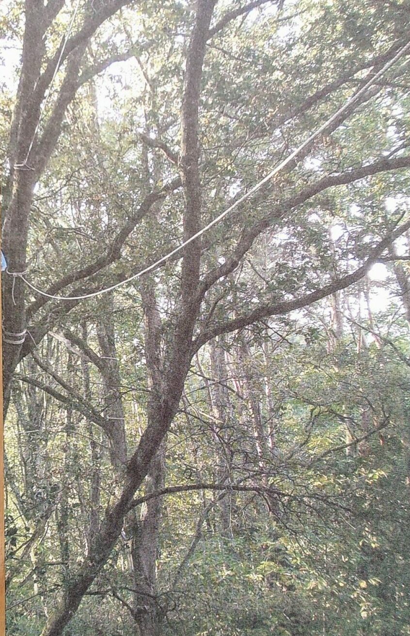 Histoires de la zad de Notre-Dame-des-Landes