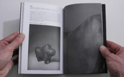 Collection - Adélaïde Gaudéchoux – Image 8
