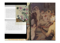 Délices d’Orient -  Sarah Vadé – Image 3