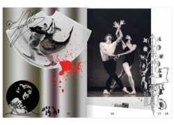 Odette - Benoît Le Boulicaut – Image 3