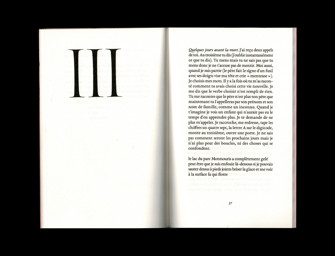Oraison funèbre pour Zelda1990 - Romane Constant – Image 3