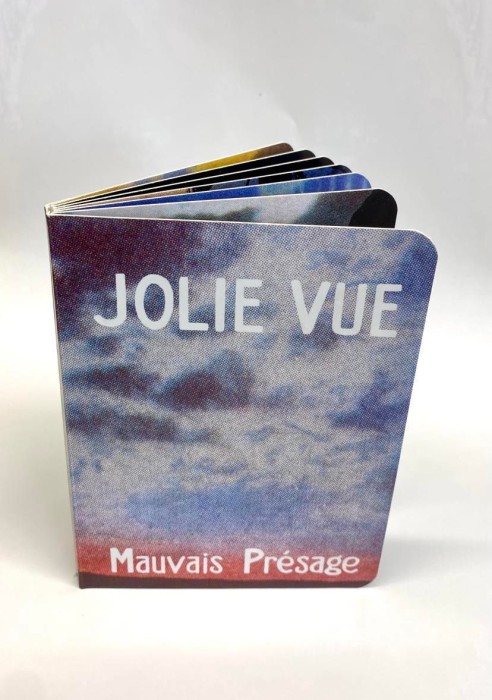 Jolie vue, mauvais présage - Jérémie Gindre – Image 4