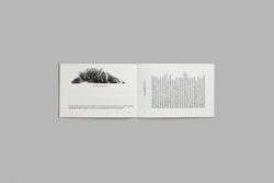 Vers Vermersch - Thomas Dunoyer de Segonzac – Image 3