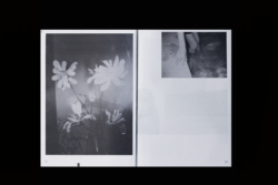 Absorber les fantômes - coll – Image 7
